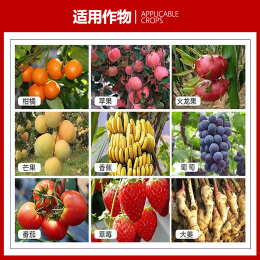 丰满龙复合肥15-15-15高浓度硫酸钾氮磷钾平衡肥果树蔬菜花卉通用 平衡复合肥100斤