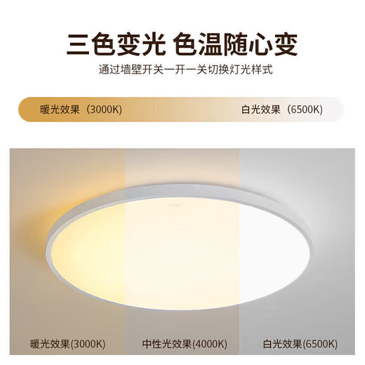 Chint (CHNT) ceiling lamp LED bedroom lamp balcony aisle lamp ultra-thin tri-proof lamp white light high-brightness lighting 24W positive white light