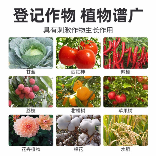 80% acetoallin, fungus, bacteria, root rot, seedling rot, fusarium wilt, bacterial wilt, moss removal pesticide, fungicide 1000g*5 bottles