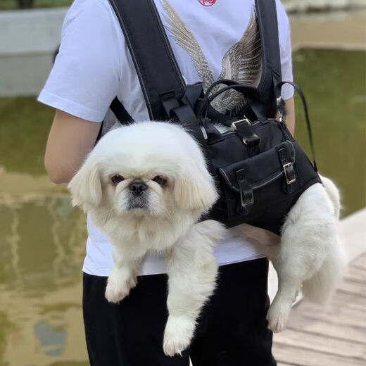 Corgi sac à bandoulière croisé pour chien petits, moyens et grands chiens chien de compagnie en équitation artefact portable taille S adapté pour 4-9 Jin Jin équivaut à 0,5 kg