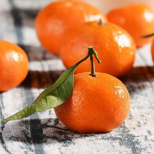 正宗广西砂糖橘爆甜薄皮沙糖桔子当季新鲜甜蜜小橘子 带箱5斤装