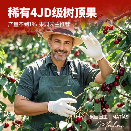Jingyi Fresh Chilean Cherries Gift Box JD/SF Express Imported Cherry Fruit New Year's Day Gift Box 5Jin Jin equals 0.5kg (net weight) Gift Box 3J Grade 30-32mm