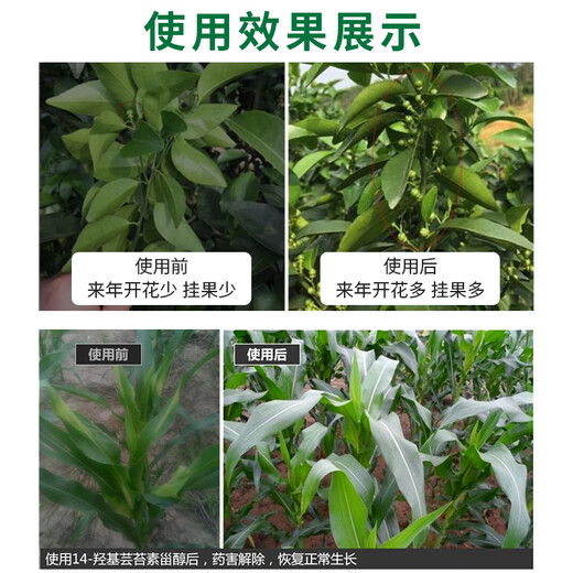 14 HydroxyBrassinosteroid Sterol Brassinolide thaws growth regulator that protects flowers, fruits, and growth, and eliminates pesticide damage 10g*5 bags 1 bag mixed with water 30-60Jin Jin is equal to 0.5kg