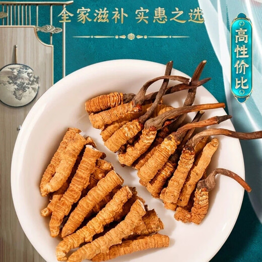 冬虫夏草藏区冬虫夏草断草自食更实惠干虫草滋补干嚼泡酒打粉煲汤 大断虫草20克送2克