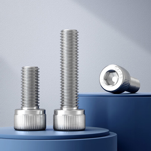 Bairuite (bairuite) 304 stainless steel hexagon socket screw screw extended cylindrical head cup head hexagon socket bolt DIN912 screw M6*25 20 pieces