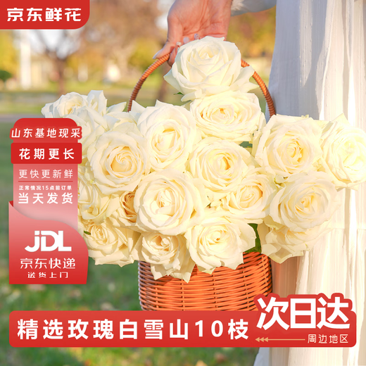 Jingdong Flowers Baixueshan Rose 10 Ruyi Base Fresh-cut Flowers Water-raised Flower Arrangement Lifestyle Bouquet Gifts Straight from the Source
