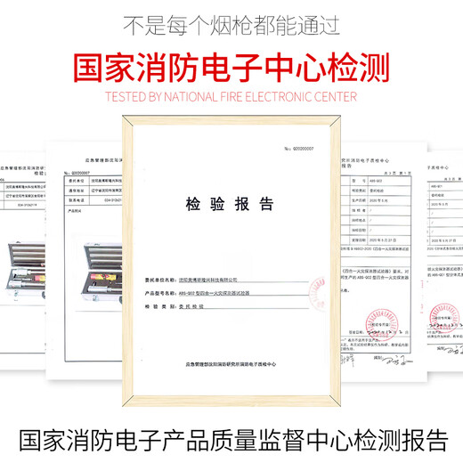 Fire smoke gun electronic temperature sensing fire test detection detection test equipment equipment Orbos instrument W03 2.5 meter configuration