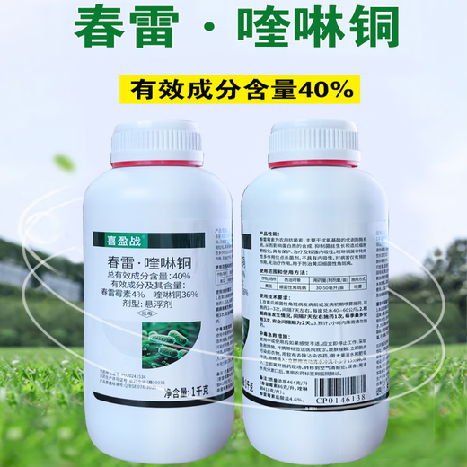 40% Kasugamycin Copper Fungicide Pesticide Cucumber Bacterial Angular Spot Kasugamycin Quinolinon 500g*10 bottles