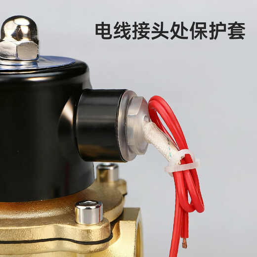 Wawaston solenoid valve copper electric water valve oil valve air valve water inlet valve normally closed switch valve 4 points AC220V 2W-160-15 copper