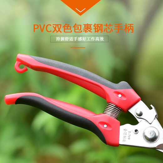 立锦园艺植物修剪花卉剪刀果剪刀摘果剪枇杷摘果器采果剪剪花枝剪刀 T-719日本钢采果剪