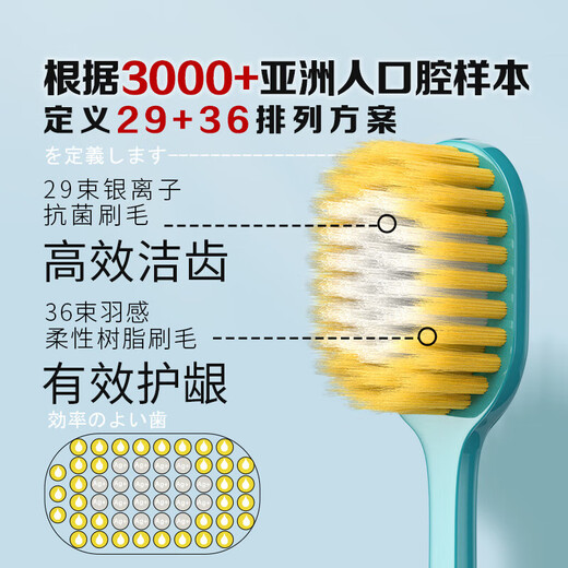 CCOKIO Japanese wide-head 65-bundle soft-bristled toothbrush for adults, men and women, genuine large brush head, home decoration set