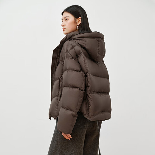 Ai Lai Down Jacket Women's Light Warm Bread Jacket Puff Short Removable Hooded Goose Down Jacket Chocolate M