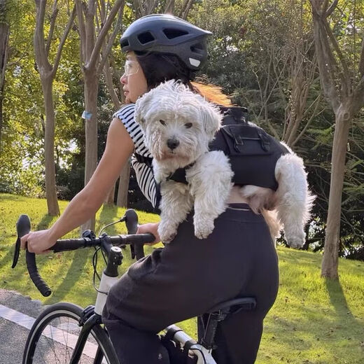 Corgi sac à bandoulière croisé pour chien petits, moyens et grands chiens chien de compagnie en équitation artefact portable taille S adapté pour 4-9 Jin Jin équivaut à 0,5 kg