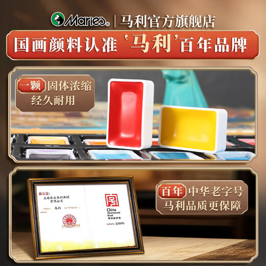 Marley Chinese Painting Pigment Set Solid Chinese Painting Materials Primary School Students Chinese Painting Supplies Tools Full Set Ink Painting Chinese Painting Pearlescent Pigment 12 Pieces 12 Color Chinese Painting + Pearlescent Watercolor