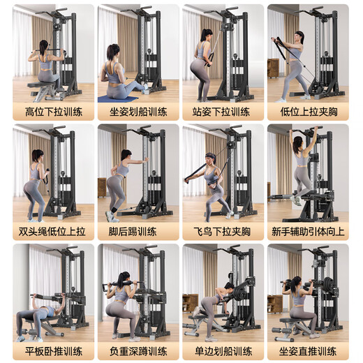 _Fitness home equipment unilateral flying bird gantry painting rowing machine multi-functional dumbbell equipment package installation classic + 70KG environmentally friendly counterweight