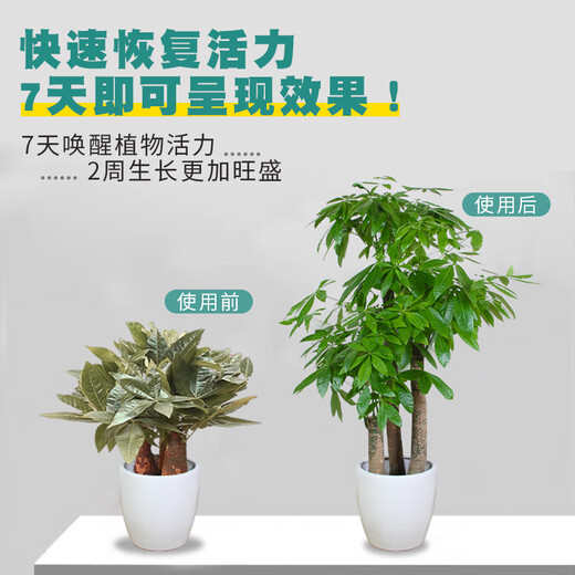 Soil Activator Loose soil, activate soil, prevent hardening, repair soil, promote plant root growth. Paiyifa 5 Soil Activator