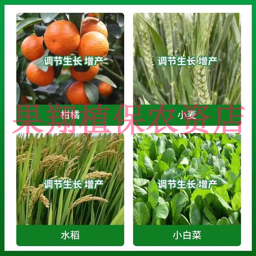 Shuofeng 48114 Hydroxybrassinolide sterol wheat and rice improves fruit setting rate and alleviates phytotoxicity plant growth regulator 500ml (10 bottles)