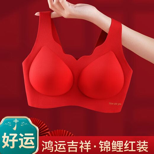Urban Beauty Gift Box Pack Zodiac Year Women's Underwear Set Women's Push Up Red Underwear Wedding Bride Wedding Bra Lucky Set Bra + Panties XL (Recommended 115-125 Jin Jin equals 0.5 kg)
