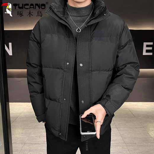 啄木鸟国标白鸭绒羽绒服男2025新款加厚保暖中青年潮流纯色冬装立领外套 白色 L （推荐125-140斤）