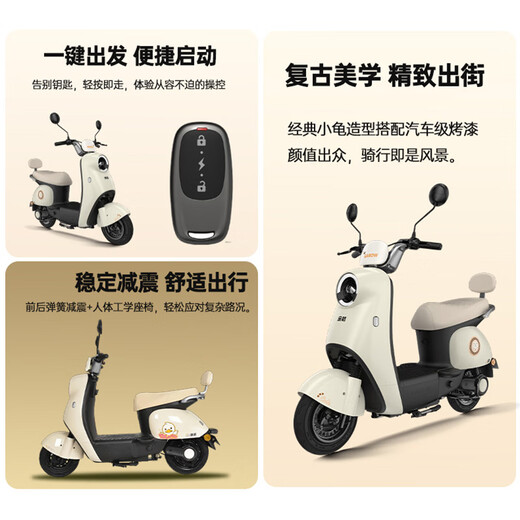 Golden Arrow Electric Motorcycle Popular New Product Lingcai 60V20AH Lead Acid Battery Long Life 800W High Power Smart Pedal Electric Motorcycle Unicorn