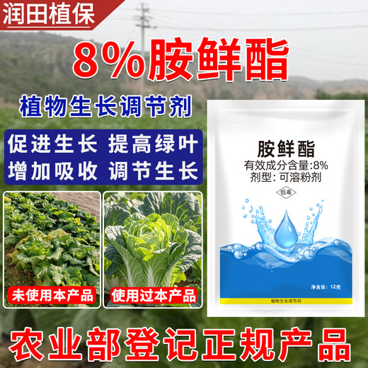 Runtian Baihu Official Genuine 8% Acetate Genuine Plant Growth Regulator Promotes Growth National Standard Wholesale 8% Acetate 12g*50 Bags