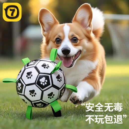 QiOh Dog Toy Ball, Bite Resistant, Self-Happy Toy, Labrador, Corgi Training, Dog Football, Pet Supplies, Size M - Medium and Large Dogs, Thickened Upgraded Model