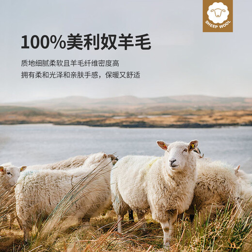 Lotz 100% worsted sheep wool & machine washable old money style cardigan sweater winter thickened warm jacket for men