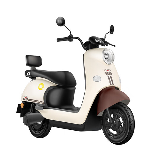 Sunra electric motorcycle Liman 6 lead-acid Tianneng batteries 72v long range 80km household pedal battery car commuting adult electric car brown