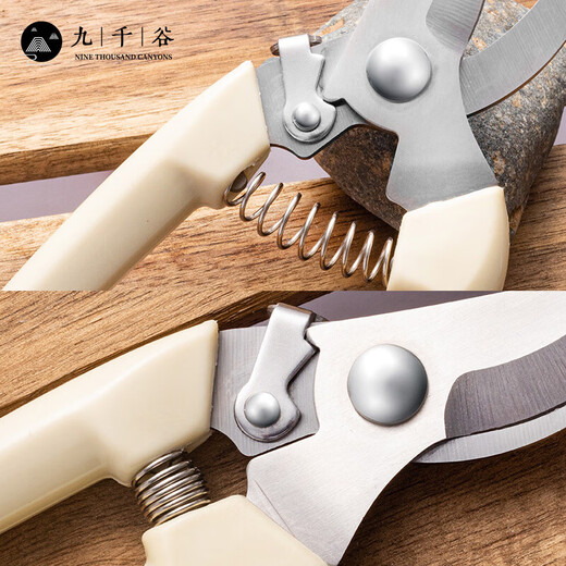 Cow Centenary Gardening Scissors Pruning Scissors Gardening Tools Floral Fruit Tree Pruning Scissors Pruning Branches Gardening Pruning Scissors Beige