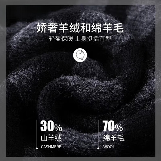 ERDOS City 2025 New Cashmere Men's Scarf Winter Thick Warmth Versatile Wool Black Gray 30058W