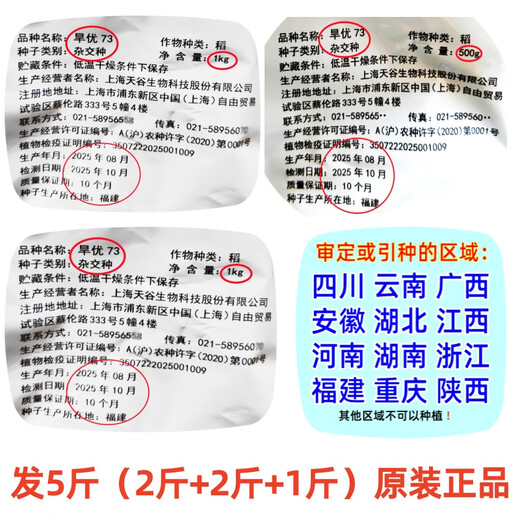 Drought-optimized, water-saving and drought-resistant hybrid upland rice seeds, dry paddy seeds, drought resistance, first-class fragrant, large, early-maturing, brand-new seeds 5 Jin Jin equals 0.5 kg, new seeds produced in 2025