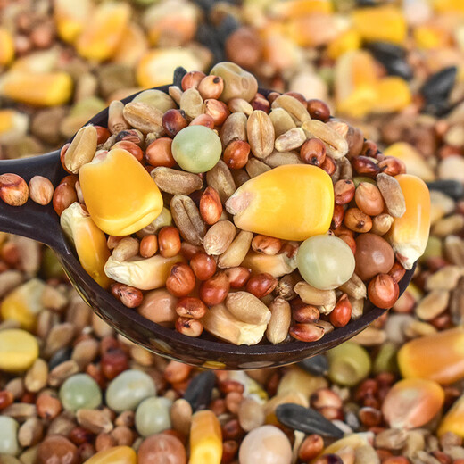 Pet Le Man nutritional pigeon food pigeon feed supplies carrier pigeon racing pigeon breeder pigeon with corn small grain pea grain bird food nutritionally balanced pigeon food 1200ml