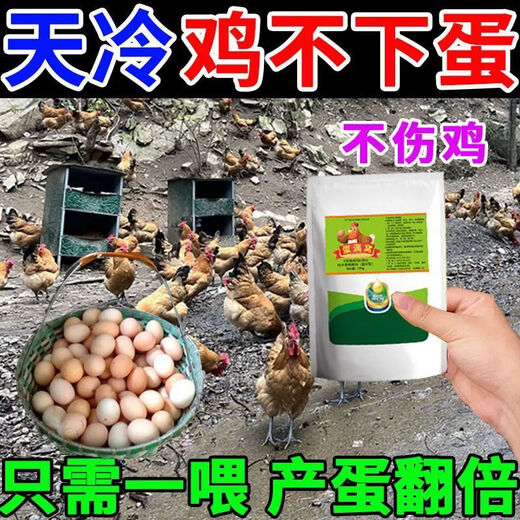 Special eggs for chickens to lay eggs, Duoduo Bao, eggs for chickens, ducks and geese to increase production, feed for chickens to eat if they don’t lay eggs, what to do, five bags