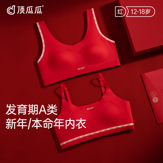 Dingguagua girl's development period tube top vest red girl bra set wide shoulder straps - girl's second and third stage animal year underwear single piece gift box L_recommended weight 80-95Jin Jin equals 0.5 kg