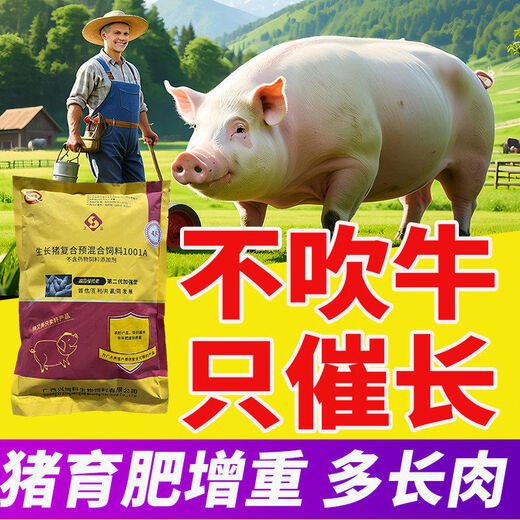 Meat pig feed additive multi-dimensional pig fattening and growth-promoting premix auxin for weight gain and fattening pigs second generation enhanced auxin for pigs 4Jin Jin equal to 0.5 kg package
