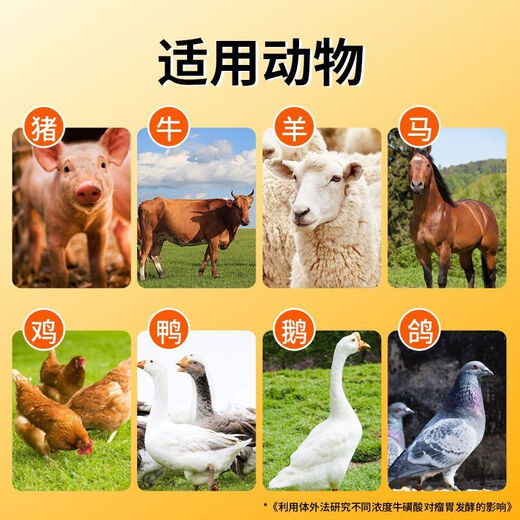 兽用21金维他猪牛羊孕通用宠物金维他微量元素提高免疫维生素正品 21金维他500克/袋*10袋