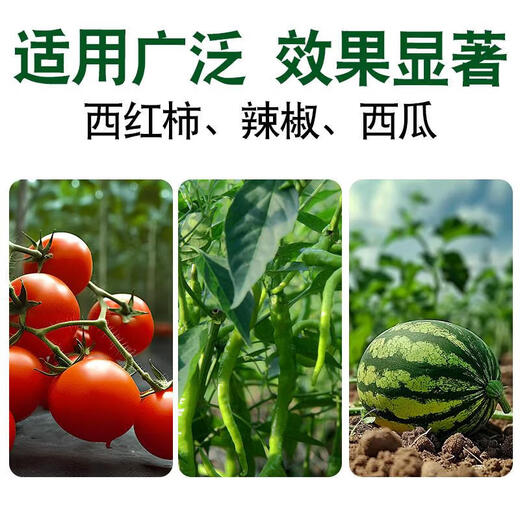 Agricultural streptomycin fungicide Streptomyces flavus streptoxin bacterial disease fruit trees citrus vegetables strawberry special 25g * 3 bags