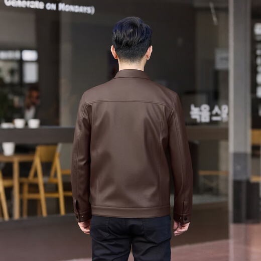 Fei Zhongfei's new men's leather jacket, short style, comfortable and versatile, solid color, crisp collar, brown|8880 XL/180/96A