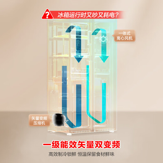 Rongsheng 635-liter side-by-side refrigerator first-class energy efficiency vector dual-frequency CCA ion sterilization air-cooled frost-free super large capacity national subsidy BCD-635WD13HP