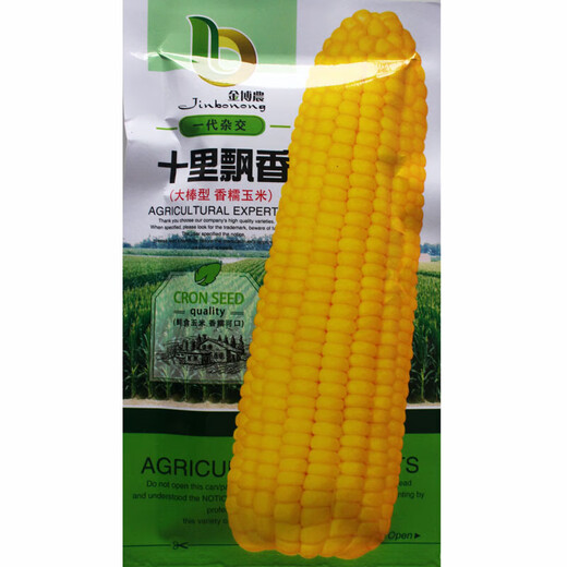 Wangyuanxing early-maturing yellow waxy corn seeds in the field, high-yield and high-quality yellow waxy corns, fragrant and waxy skins, thin and residue-free big stick corn seeds, Shili Piaoxiang/190g Custard Nuo