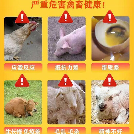 兽用21金维他猪牛羊孕通用宠物金维他微量元素提高免疫维生素正品 21金维他500克/袋*10袋