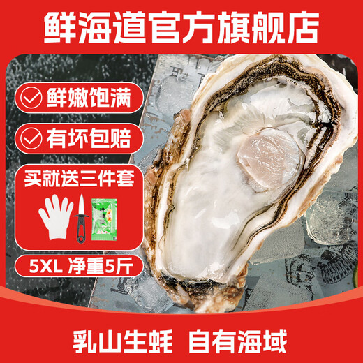 Fresh Seaway Fresh Rushan Oysters 5XL Net Weight 5Jin Jin is equal to 0.5kg 9-12 pcs Fresh Seafood and Shellfish Straight from the Source