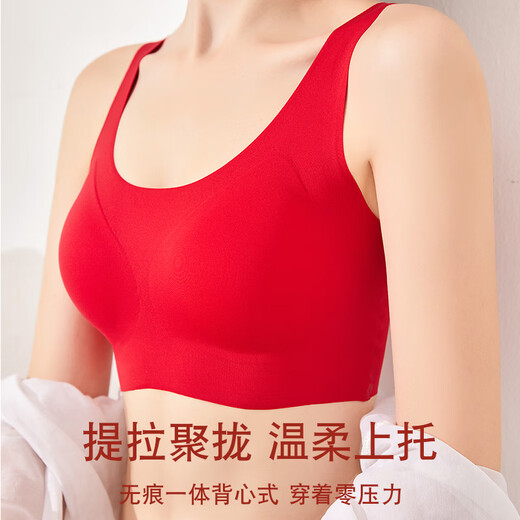 Fenton zodiac year red underwear set for women, push-up seamless bra, seamless underwear, gift box set, gift box set, bra + underwear + socks + extension buckle + bracelet M (70B70C75A)