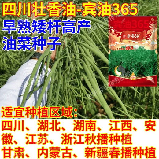 Стабильное производство семян рапса, ранний срок созревания, высокое содержание масла, карликовые стебли, устойчивость к болезням, устойчивость к полеганию, сильное кунжутное масло, крупные гранулы, официальный представитель Sichuan Short Oil King, платите 10 за подделки, зарегистрированный гибридный рапс 80 г * 2 мешка + 2 мешка борного удобрения, карликовые стебли, устойчивость к болезням и устойчивость к полеганию