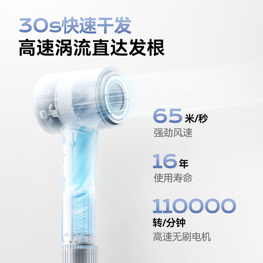 WoLe 4 billion plasma high-speed hair dryer household silent negative ion high-power does not hurt the power generation hair dryer leafless quick-drying gift for girlfriend New Year's Eve annual party gift