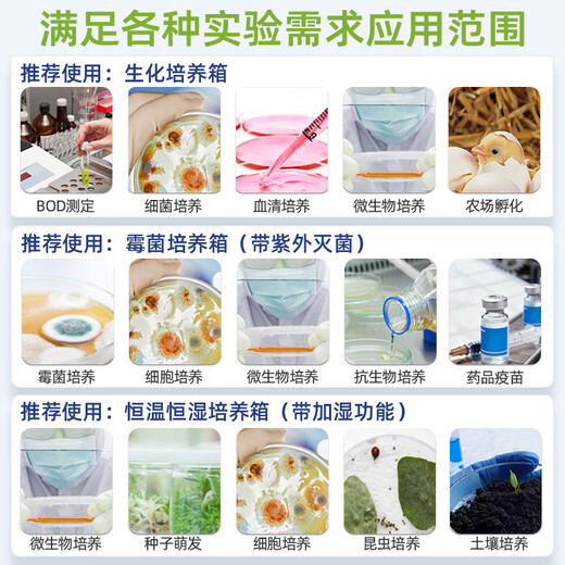 Lichen (LICHEN) biochemical incubator mold bacteria microbial germination breeding incubation constant temperature culture laboratory electric heating and humidity box 50L biochemical LC-SPX-50BE incubator