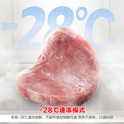 Rongsheng 635-liter side-by-side refrigerator first-class energy efficiency vector dual-frequency CCA ion sterilization air-cooled frost-free super large capacity national subsidy BCD-635WD13HP