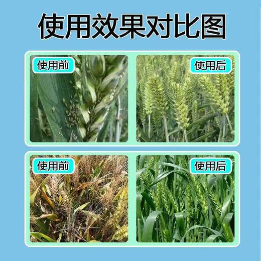 Wheat package, one spray, three preventions, wheat production increase, disease prevention, antibacterial, insecticide, anti-falling, strong seedlings, increase production package, 10-in-1 (1 mu package)