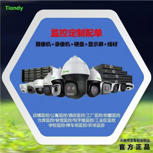 Tiandy monitoring complete set with single customized monitoring solution configuration monitoring package mobile phone remote 32-channel 4 million customized package