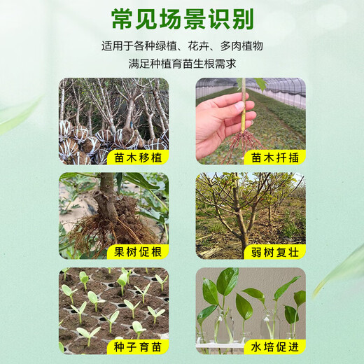 Genpan 5% indoconaphthalene acetic acid seedlings flower cuttings transplanting rooting liquid agent seedling strengthening agent pesticide regulator Guoguang Genpan 200 ml * 5 bottles